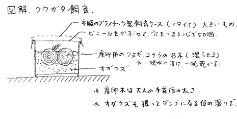 クワガタ飼育の図解
