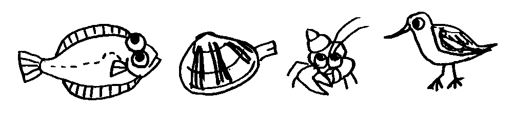 干潟の生き物のイラスト